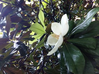 20160528_132901