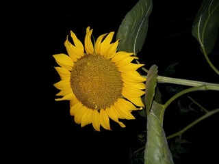 20160627_204242