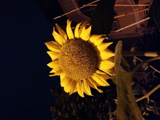 20160627_204358
