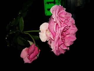 20160627_203322