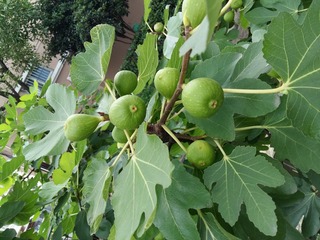 20160709_081445
