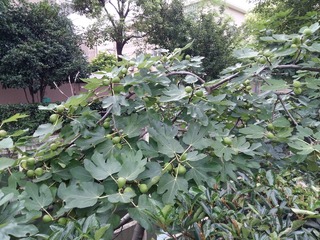 20160709_081432