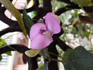 20160709_080430