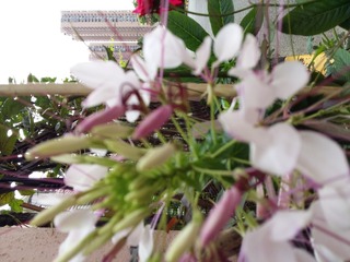20160709_080405
