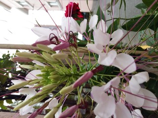 20160709_080415