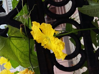 20160709_080620