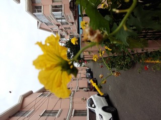 20160709_080718