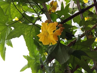20160709_081325