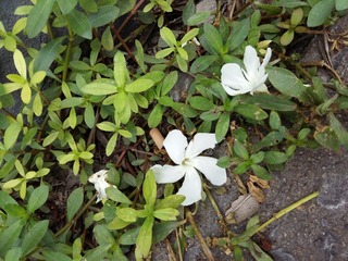 20160709_082024
