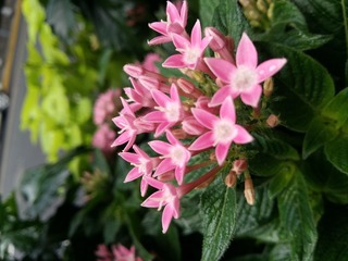 20160703_161030