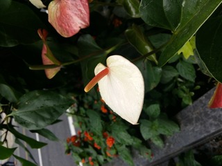 20160703_160905