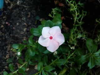 20160730_184809