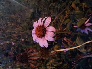 20160730_191428