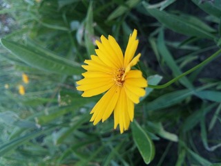 20160730_182359