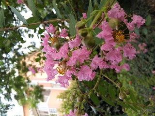 20160814_135915