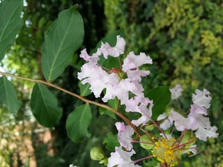 20160814_135838