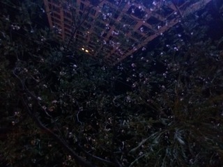 20160823_205931