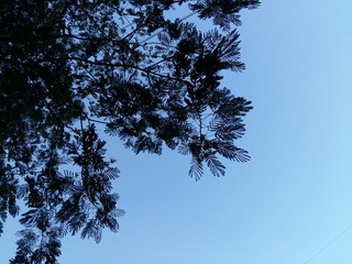 20160829_180847