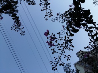 20160829_180811