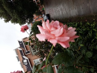 20161020_123516