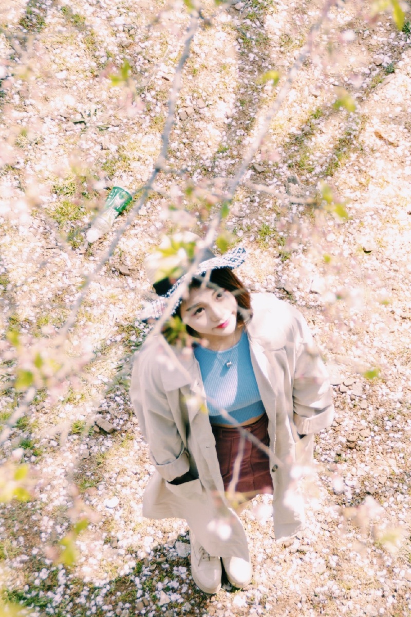 樱落 - 星星0515 - 图虫摄影网