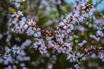 _DSF5793