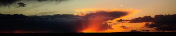 _DSC5688