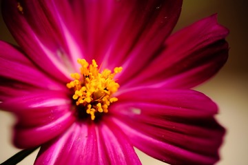 _DSC4688