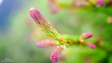 _DSC6456