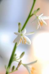 IMG_1147_??