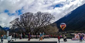 《旅游生活》IMG_20240324_105836 拷贝