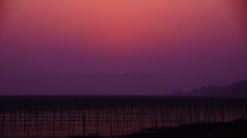 _DSC1936