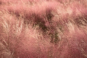 C8EBA27D-FF71-4921-A765-36A4B70AA150/L0/001