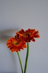 3193125