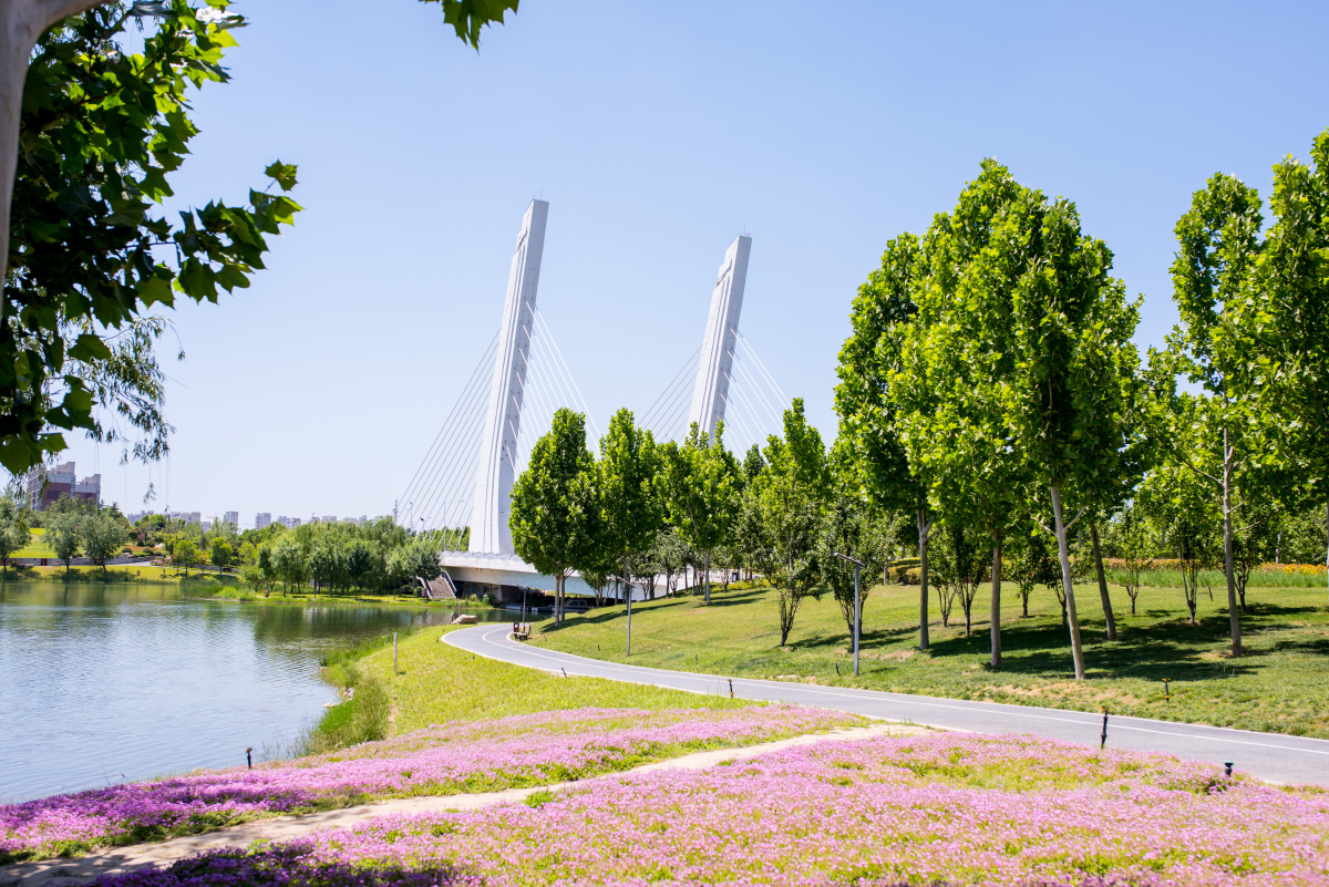 郑州龙子湖美景