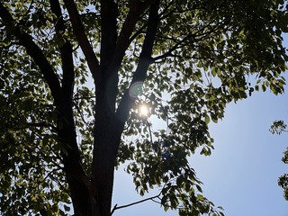 7B850DEB-9F92-4F41-A9D7-95CEA5BF0C7F/L0/001