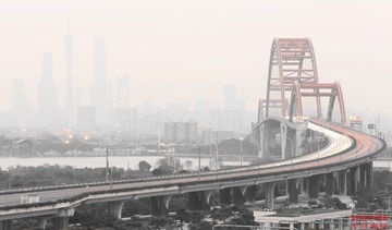 鸿雁的哀鸣