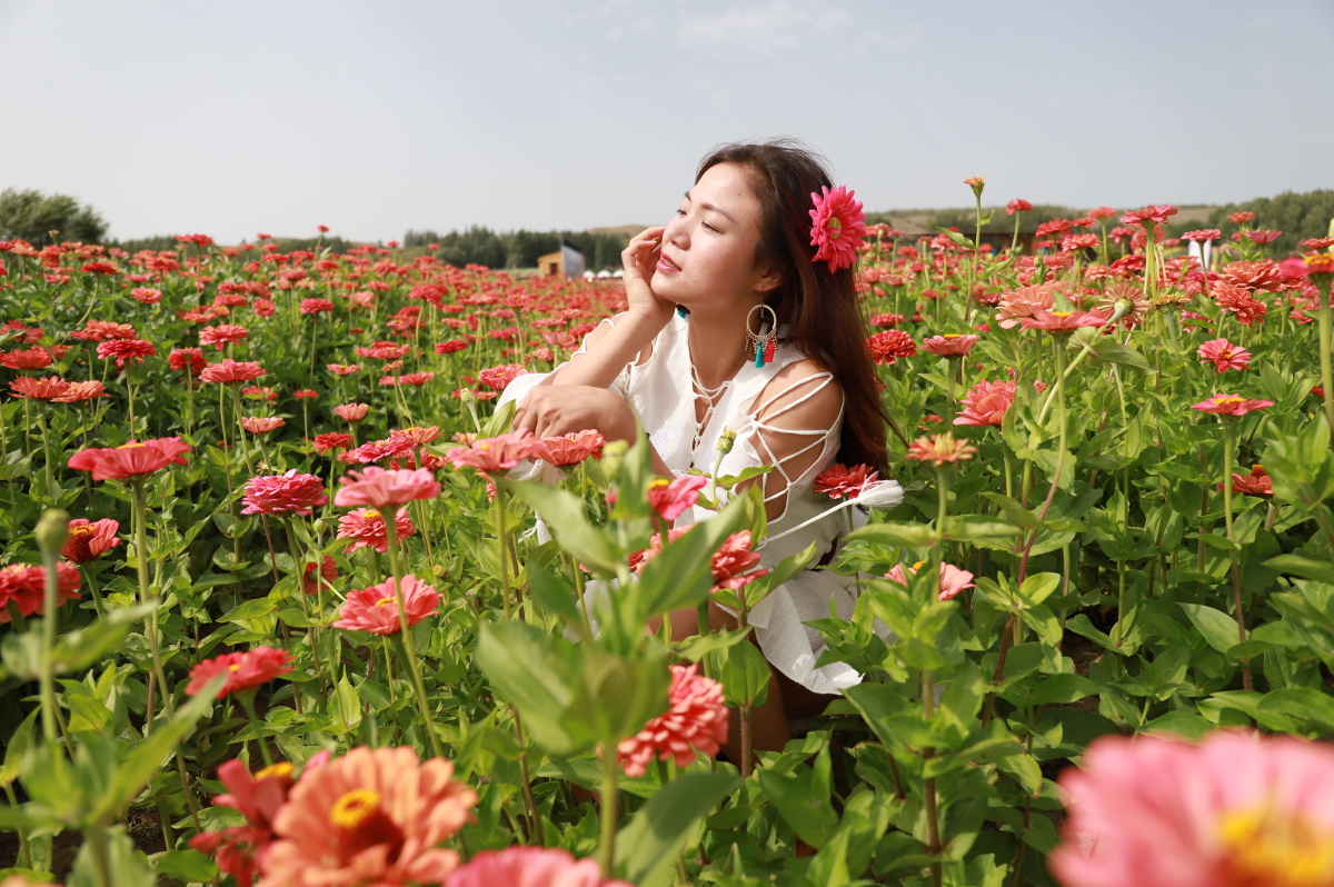 花姑娘来袭知道女孩为什么那么那么喜欢花了吧