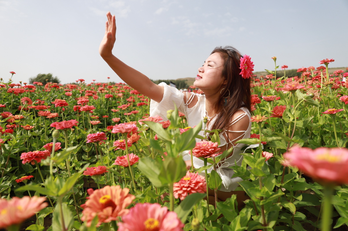 花姑娘来袭知道女孩为什么那么那么喜欢花了吧