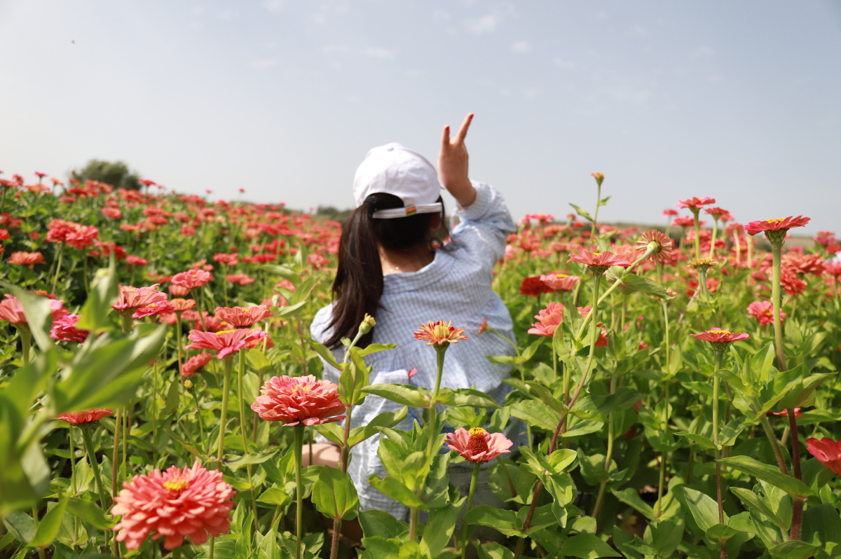 花姑娘来袭知道女孩为什么那么那么喜欢花了吧