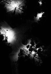 C4401686-2D33-40B9-A269-5039F697937A/L0/001