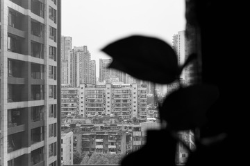 473A0716-C581-4CF6-A8B6-710441ED927E/L0/001