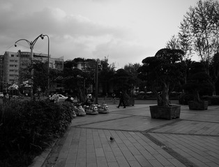 D870BFDE-073D-4ABE-96A4-C415BC27AA07/L0/001