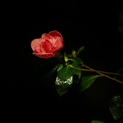 001