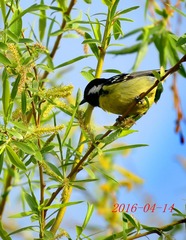 IMG_0011_dh