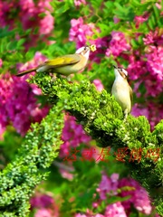 IMG_6611_dh