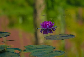 20151002-IMGP2726
