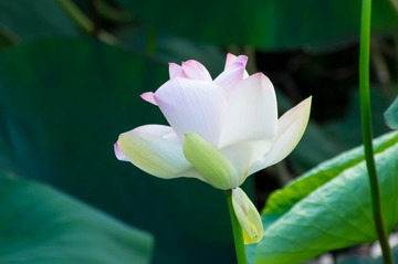 20150712-IMGP0388