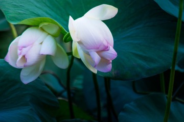 20150712-IMGP0394