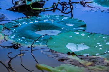 20150712-IMGP0397